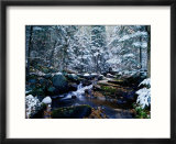 Adirondack Mountains  Lake Placid  NY