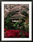 Japanese Tea Garden  San Francisco  California  USA