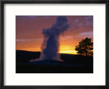 Old Faithful Geyser at Sunset  Yellowstone National Park  USA