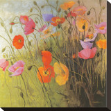 Meadow Dance