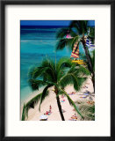 Palm Trees Over Waikiki Beach  Waikiki  USA