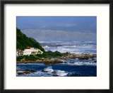 Storm Waves Lash Coast at Island Bay  Wellington  New Zealand