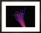 Close-up of Fiber Optic Cable