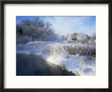 Scuppernong Creek in Winter Snow  Wisconsin  USA