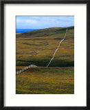Hilly Country Fields At Caithness  Scotland