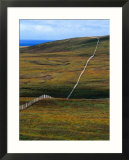 Hilly Country Fields At Caithness  Scotland