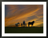 Ohio  Sugarcreek  Amish Family Viewing Sunset