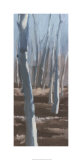 Winter Solstice III
