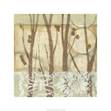 Willow and Lace III