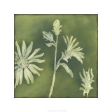 Verdigris Blossoms II