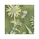Verdigris Blossoms I