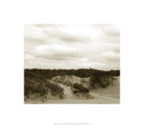 Ocracoke Dune Study II
