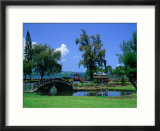 A Wooden Bridge in the Japanese Style in the Liliuokalani Gardens  Hilo  Hawaii  USA