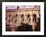 Flying Butresses  Notre Dame  Paris  France