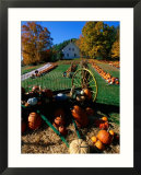 Pumpkin Patch Store  Pownal  Vermont