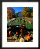 Pumpkin Patch Store  Pownal  Vermont