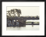 Early Morning River Scene  Northern Area  Nigeria  Africa