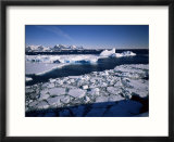Coastal Scenery  Antarctic Peninsula  Antarctica  Polar Regions