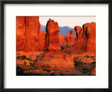 Windows Section at Sunset  Arches National Park  Utah