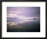 Evening Light  Antarctica  Polar Regions