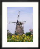 Windmill  Kinderdijk  Near Rotterdam  Holland