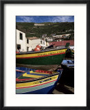 Fishing Boats  Camara De Lobos  Madeira  Portugal