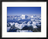 Icebergs and Brash Ice  Antarctica  Polar Regions
