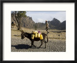 Donkey Carrying Water  Santo Antao  Cape Verde Islands  Africa