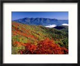 Mt Daisetsu in Autumn