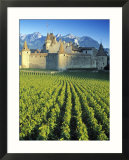 Chillon Chateau  Switzerland