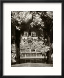 Notre Dame  Paris  France