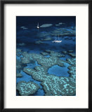 Great Barrier Reef  Queensland  Australia