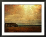 Cabin alongside River in Copper Field