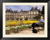 People Relaxing in Chairs in Jardin Du Luxembourg  Paris  France