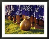 Hula Dancers  Kauai  Hawaii  USA