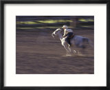 Cowgirl Rides Horse in Barrel Race Rodeo Competition  Big Timber  Montana  USA