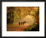 Walkers Among Trees in Autumn Foliage  Seattle  USA