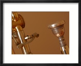 Close-up of a Brass Musical Instrument