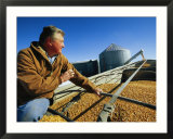 A Farmer Watches as His Corn is Augered into a Grain Truck