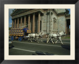 Horses Pull a Cart Load of Beer Kegs Past St Isaacs Cathedral