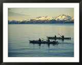 Twilight Sea Kayaking Tour on Primce William Sound