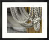 Coil of Gray Rope