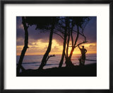 A Silhouetted Surfer and Trees at Sunrise