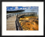 Boardwalk and Bacteria Mat  Black Sand Basin in Yellowstone  Wyoming  USA