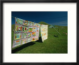Colorful Quilts Hanging on a Clothesline