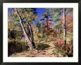 Fall Foliage  Wildlife Sanctuary  Pittsfield  MA