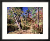 Fall Foliage  Wildlife Sanctuary  Pittsfield  MA