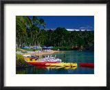 Canoes and Pedal-Boats Lined Up on the Shore of a Lagoon at the Hilton Waikoloa  Hawaii  USA