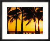 A Waikiki Winter Sunset  Honolulu  Oahu  Hawaii  USA