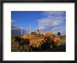 Laden Wagon Near Ivesti  Galati  Romania 